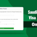 What Danish Citizens Need to Know About Saudi Tourist Visa